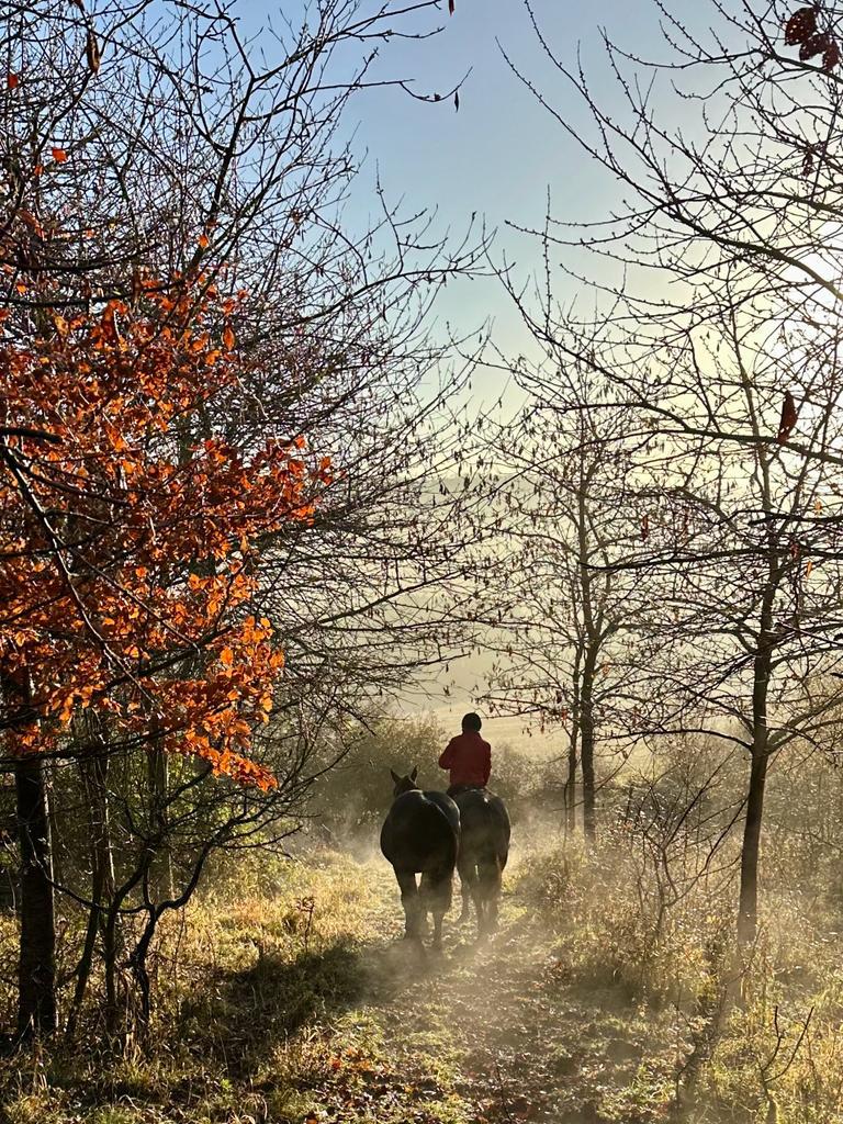 Self Guided Rides through Chiltern Hills